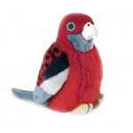 Bird with Sound Crimson Rosella